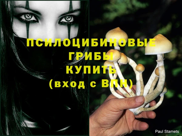бошки Алзамай